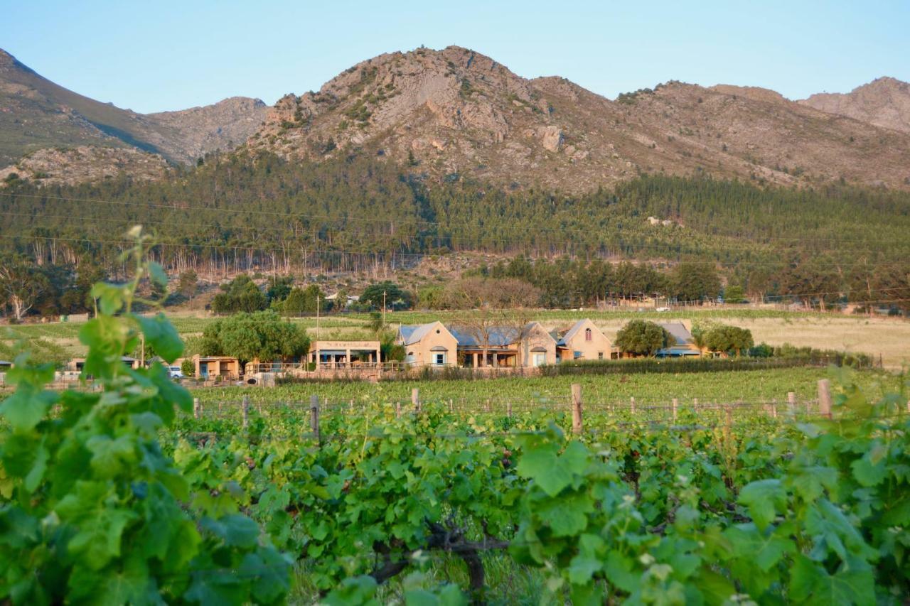 Heuwelsig Cottages Franschhoek Exterior foto